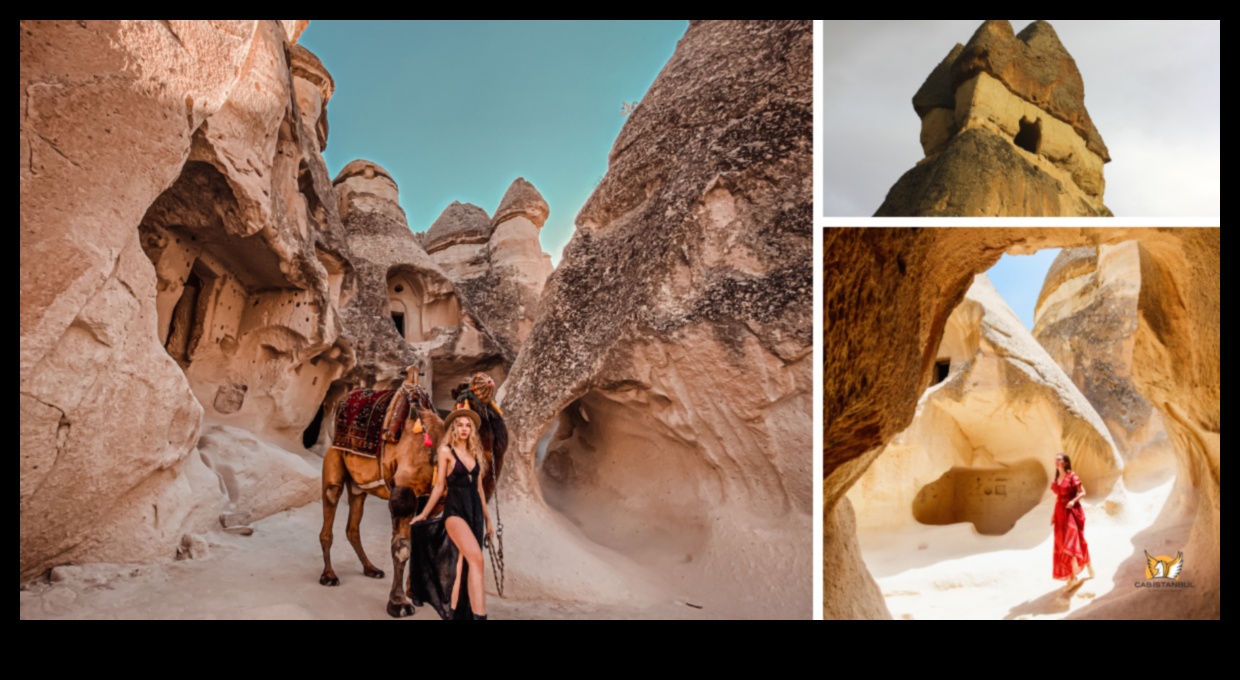 Sculpted Sanctuaries A Journey Through the Sacred Spaces of History 5 Sculpted Sanctuaries: Navigating the Sacred Spaces of History