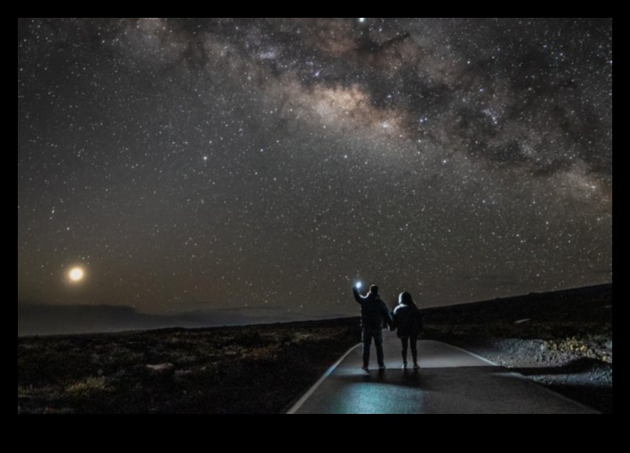 Celestial Safari: An Expedition into the Wilderness of Astounding Sights in Galaxies