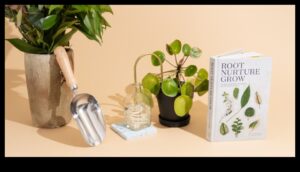 DIY Gifts for Plant Lovers: Δώρα με Πράσινο Θέμα