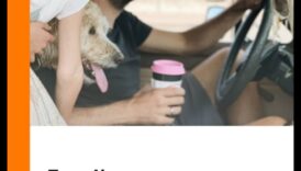 Adorable Adventures: Exploring the World in Baby Development