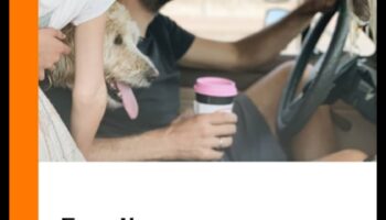 Adorable Adventures: Exploring the World in Baby Development