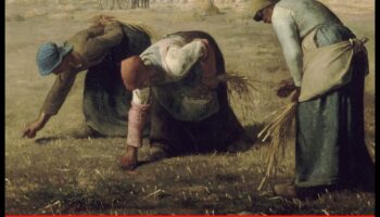 Ordinary Extraordinary: Finding Beauty in Realism