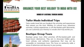 Discovering Diversity: A Traveler's Cultural Odyssey