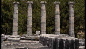 Αρχαιολογική κομψότητα: Ανακαλύπτοντας ξανά την αρχαία τέχνη στη σκόνη του χρόνου