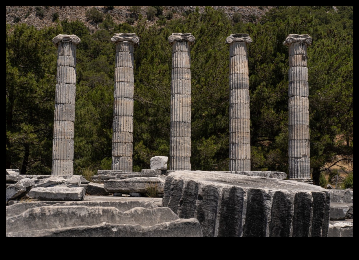 Αρχαιολογική κομψότητα ανακαλύπτοντας ξανά την ομορφιά της αρχαίας τέχνης 1 Αρχαιολογική κομψότητα: Ανακαλύπτοντας ξανά την αρχαία τέχνη στη σκόνη του χρόνου